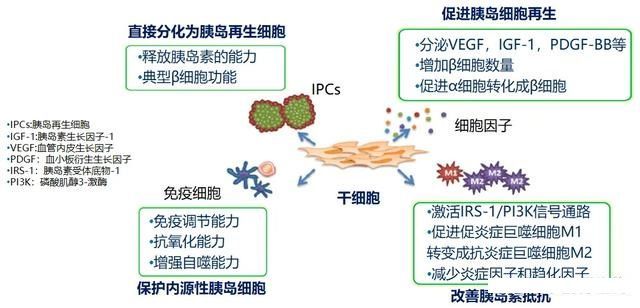 ABUIABACGAAgxpn3kwYorrDzpgUwgAU4tAI