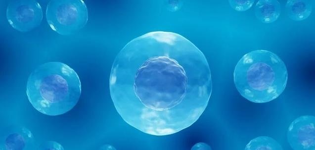 ABUIABACGAAgqPfdkwYow8rd5gYw-QQ4rwI